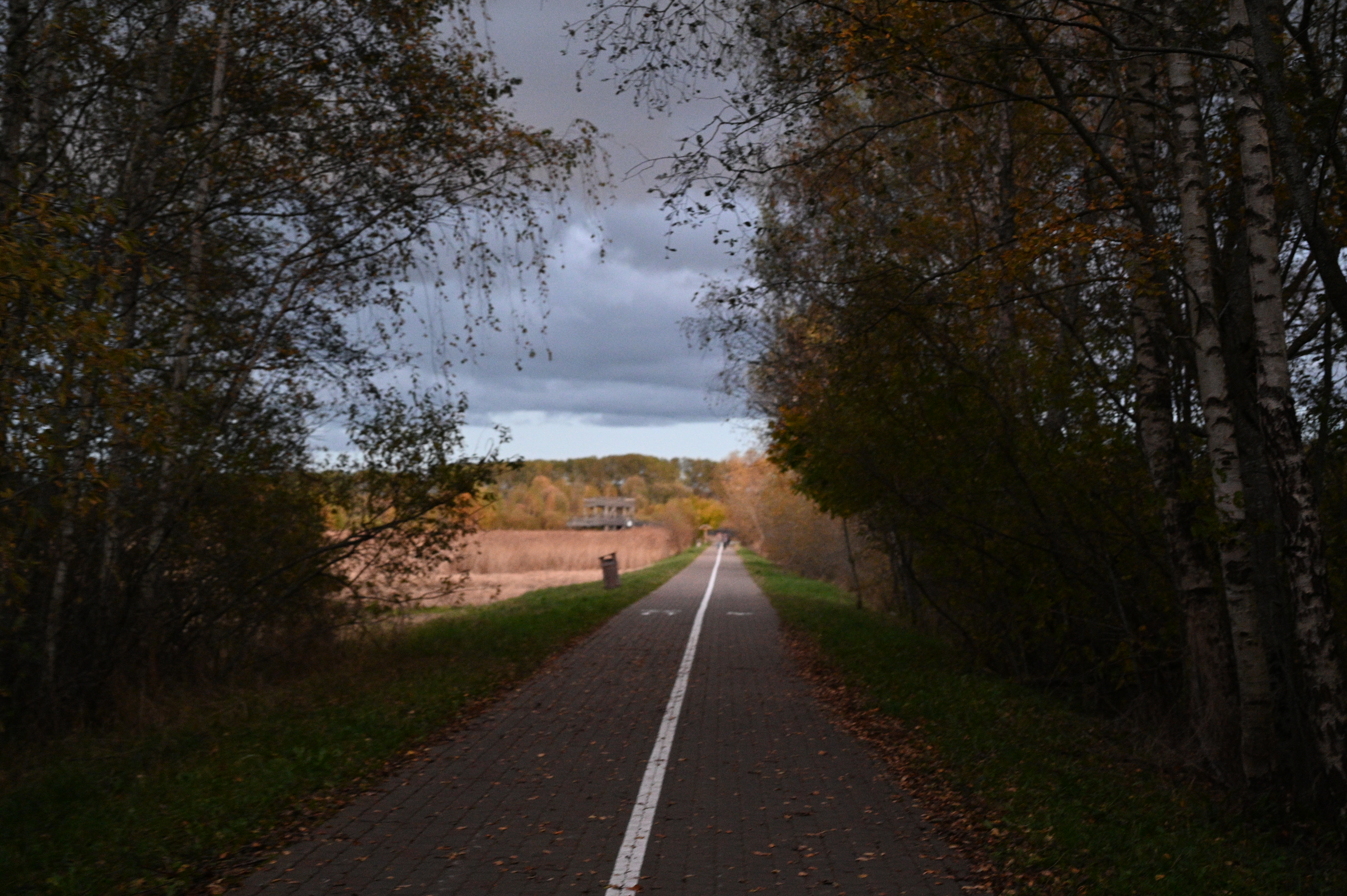 2025/10/18 - walk/DSC_0596.JPG